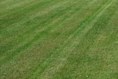 Il nostro intervento è veloce ed efficace