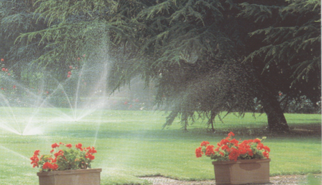 realizzazione giardini privati rovigo